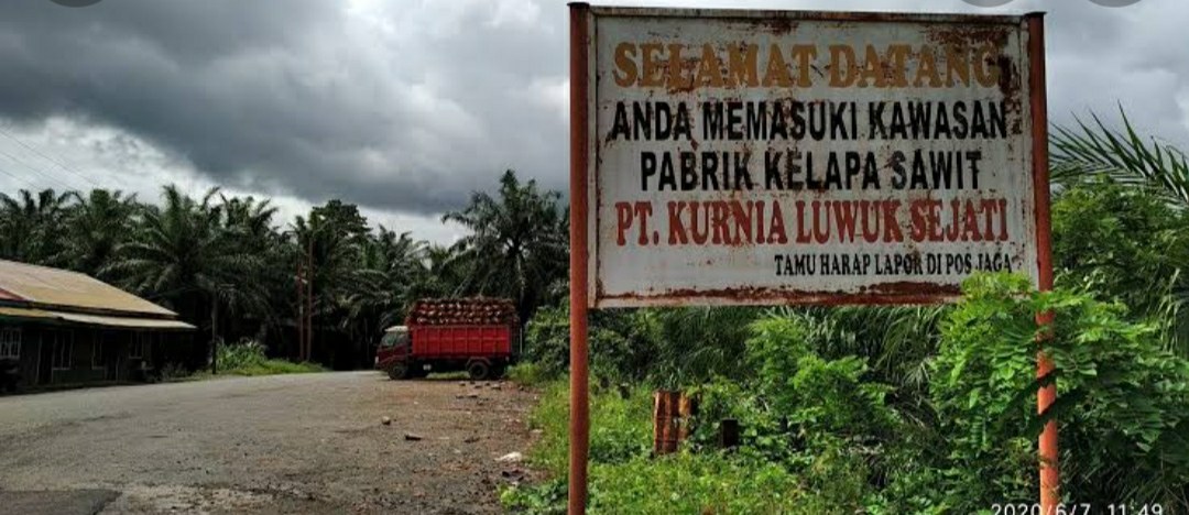 Mantan orang nomor satu di Morut di tahan penyidik, Ini tanggapan PT. KLS