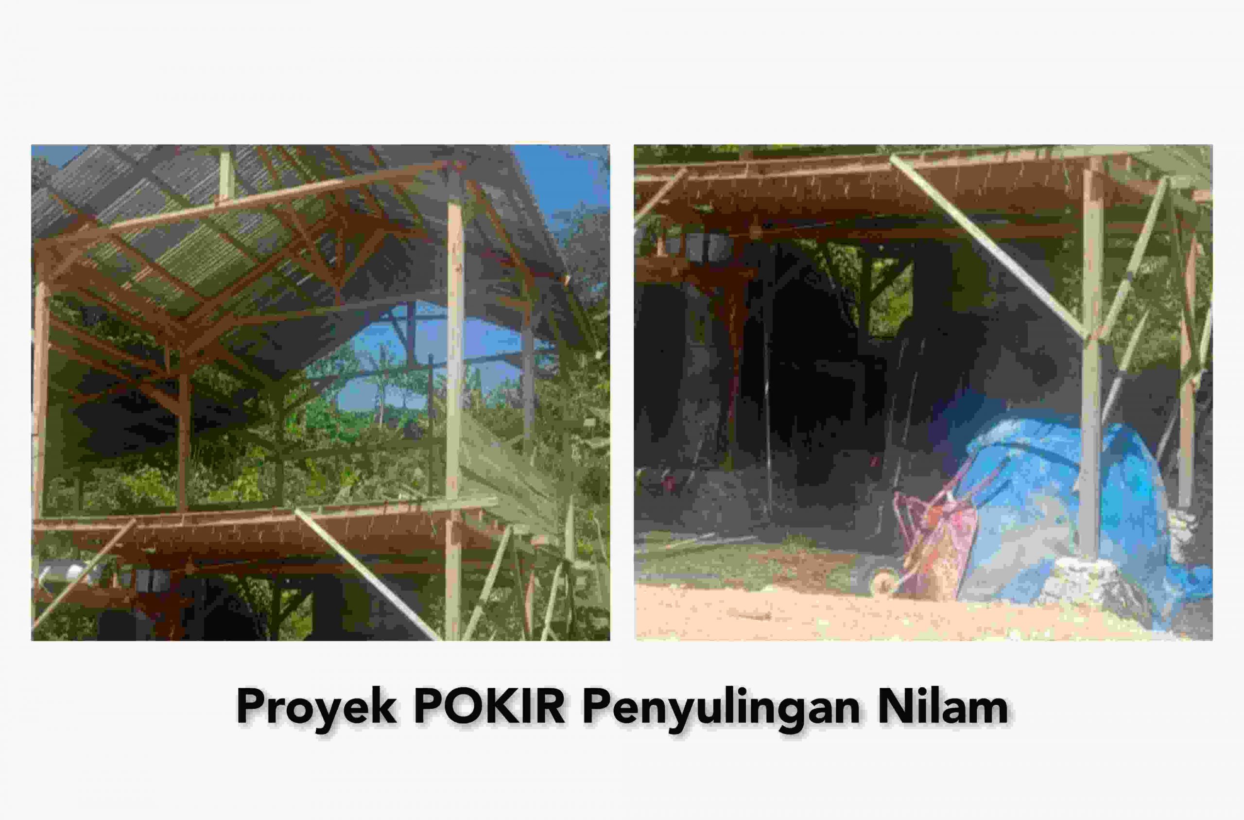 PROYEK PENYULINGAN NILAM ONEPUTE, POKIR DPRD MORUT INI DIDUGA SARAT KORUPSI