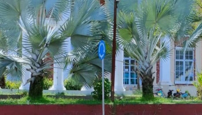 Gedung Morokoa Yang Megah. Warga Mengeluh Saat Ada Acara Pinjam WC Warga Sekitar.