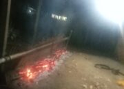 Tradisi Padungku Digelar Serentak di Kecamatan Petasia Barat, Morut
